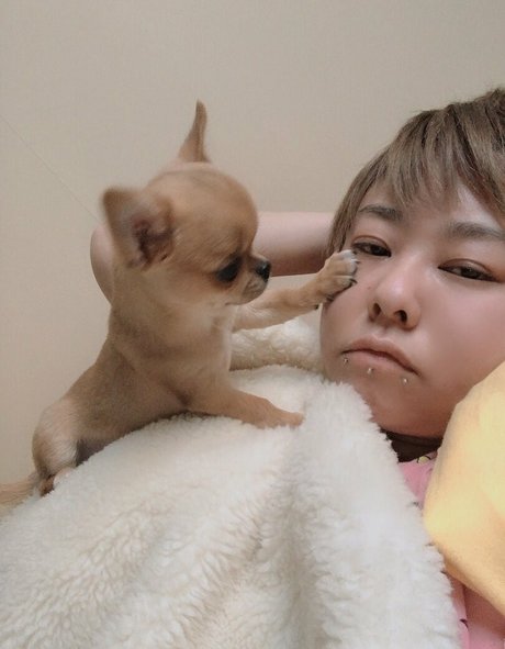 Pchan666 Nackt auf OnlyFans Leaks