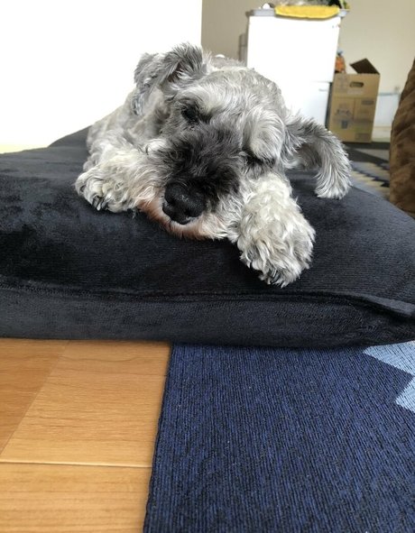 Pchan666 Nacktbilder OnlyFans