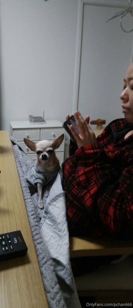 Pchan666 OnlyFans Striptease