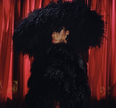 Megan Thee Stallion OnlyFans Gratis-Inhalte