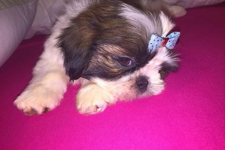 Tomer Asherian Nacktbilder geleakt OnlyFans geleakt