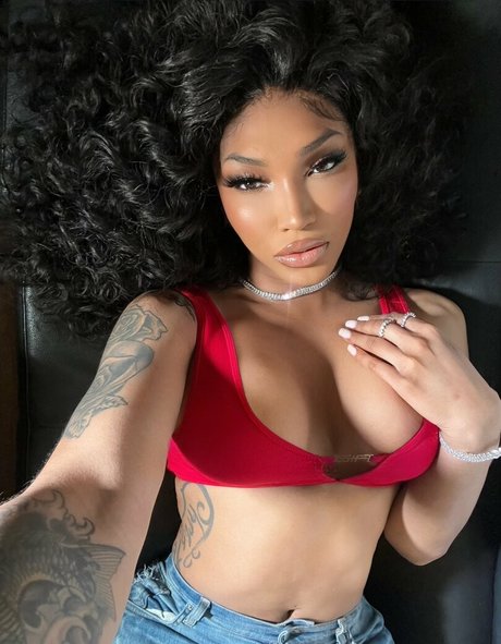 Tokyo Stylez OnlyFans geleakt