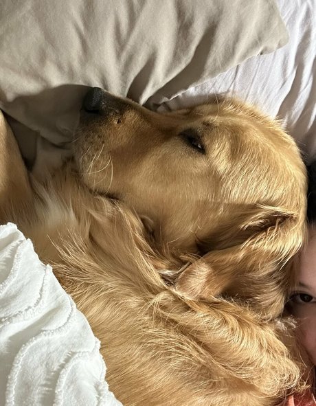 kittncore Nacktbilder OnlyFans Geleakt