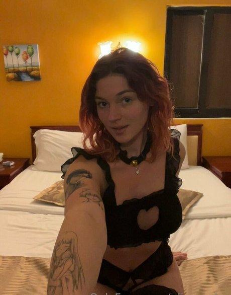 Alienorchp Profilbild