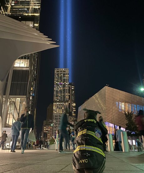 amyanderssen OnlyFans Pornografie gratis