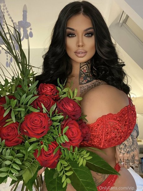 vip nvr Sexy OnlyFans