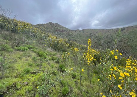 ccflightfree XXX OnlyFans