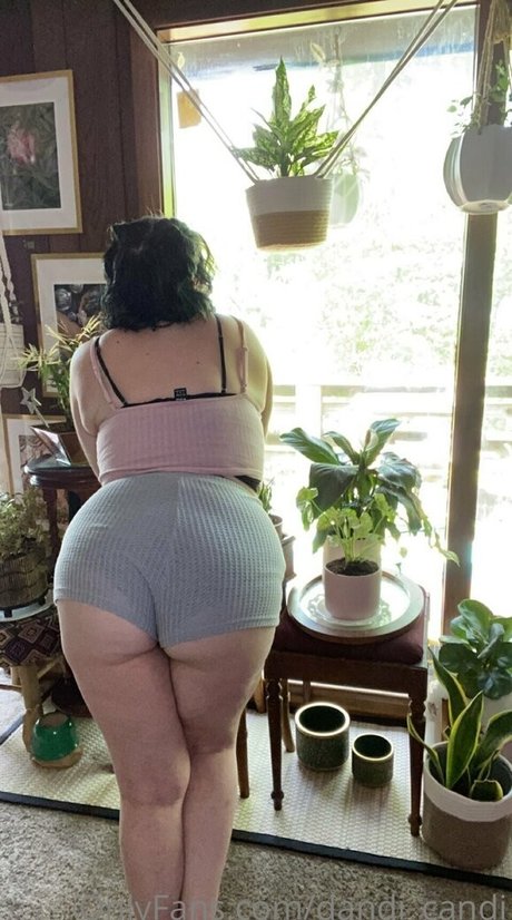 dandi candi OnlyFans geleakte Brüste