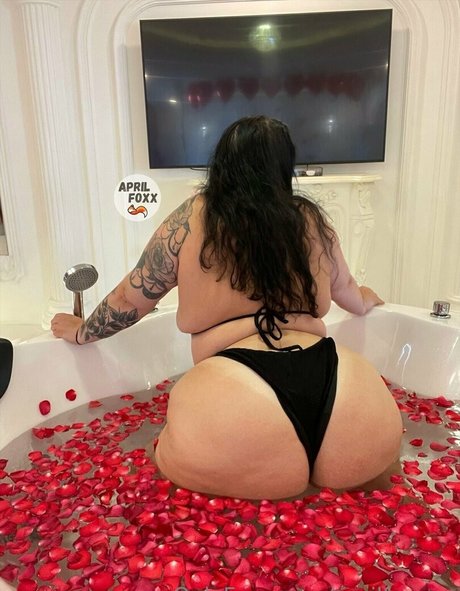 aprilfoxxxx OnlyFans Nacktbilder