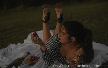 likethebugortheletter OnlyFans