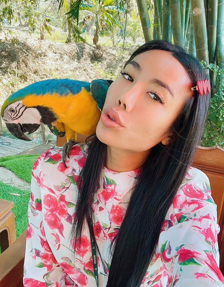 ladyboymos OnlyFans Leaks Gratis