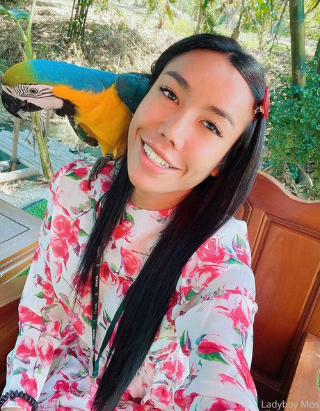 ladyboymos OnlyFans Nacktbilder geleakt