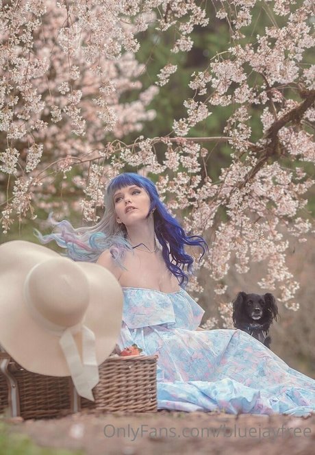 bluejayfree OnlyFans-Leaks