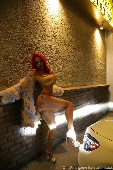Nicolette Shea OnlyFans Gratis Porn