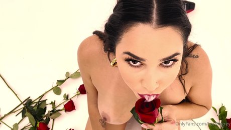 hasenkostüm onlyfans hübsch Content