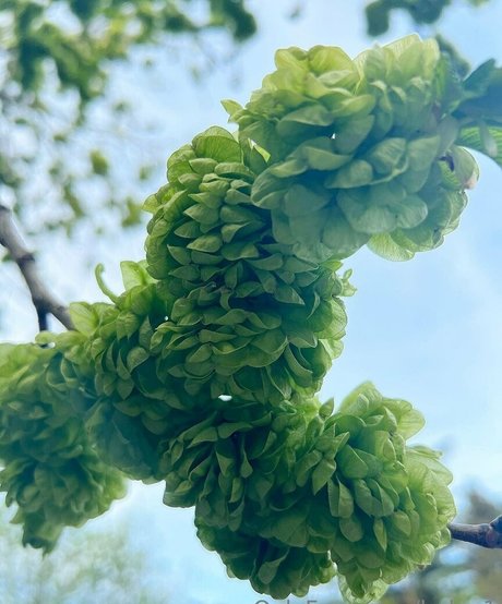 helga1 Heiße OnlyFans Inhalte