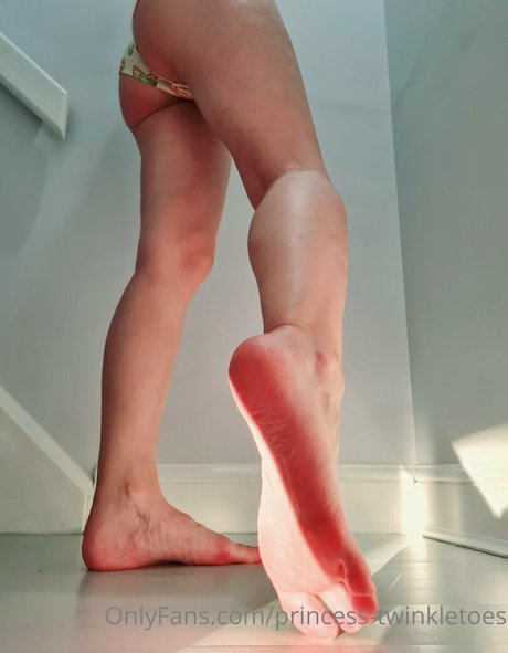 princess twinkletoes Nacktbilder OnlyFans geleakt