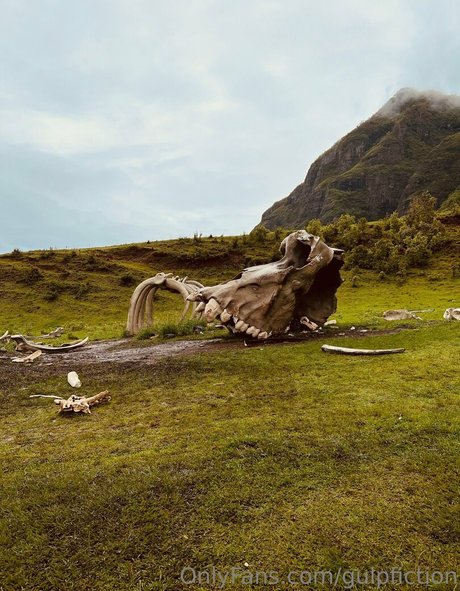 gulpfiction Profilbild