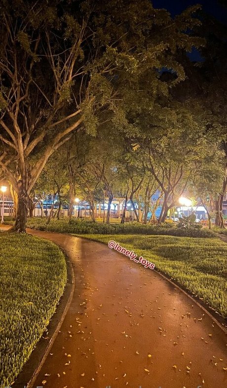 lonely toys free Profilbild