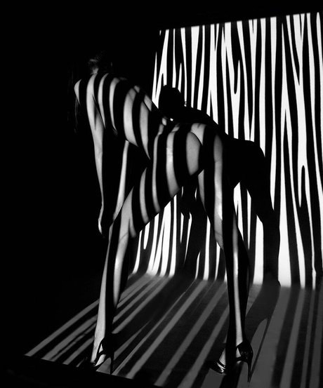 Voronina OnlyFans Nacktbilder