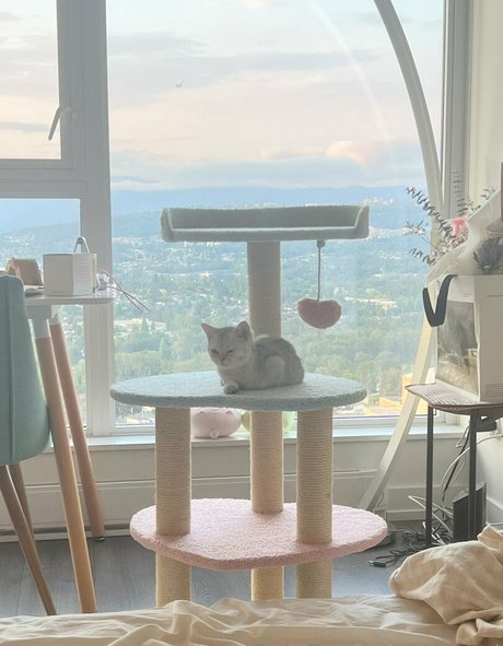 awnni Kostenlose OnlyFans-Pornos