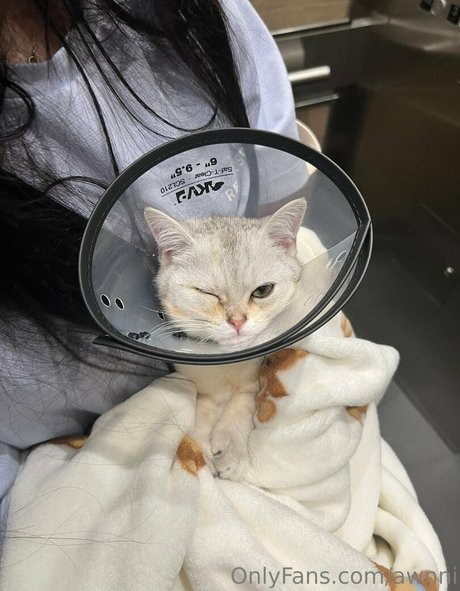 awnni Leaked OnlyFans Content