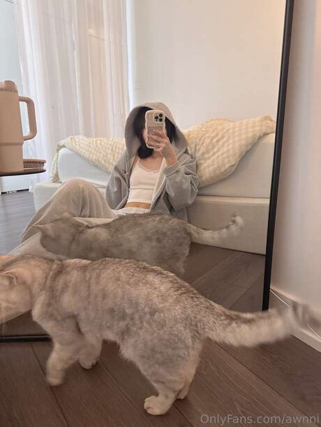 awnni OnlyFans Pornografie