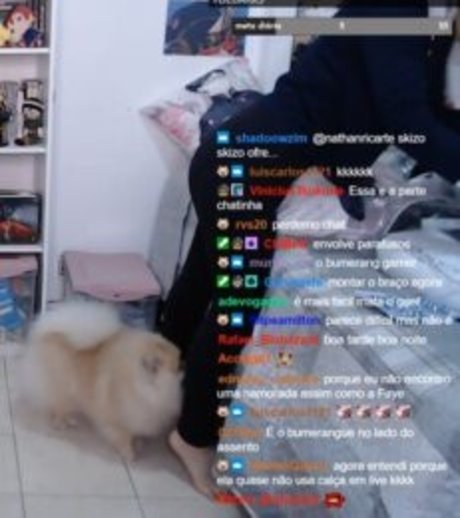 Faye Tan Heiße OnlyFans Inhalte