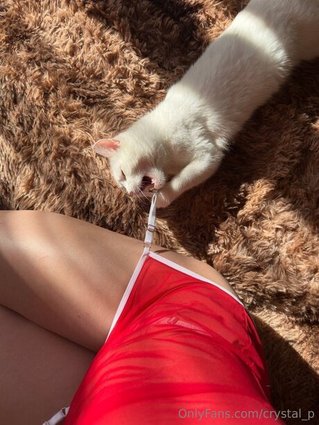 Crystal P OnlyFans Striptease