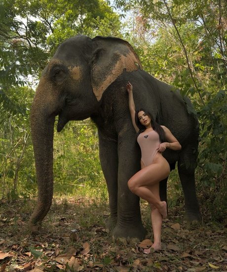 Thay Lupi OnlyFans Inhalte