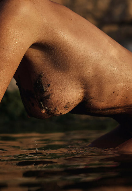 lavalexi vip Profilbild