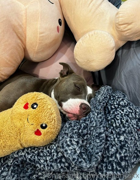 kekebanksxx OnlyFans Strip