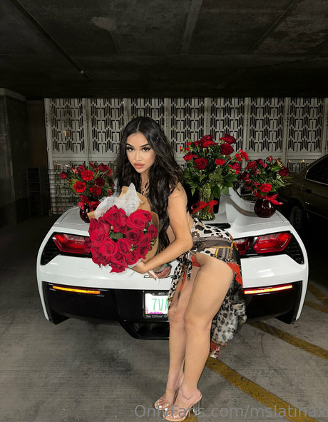 mslatinax Sextape OnlyFans Nacktbilder