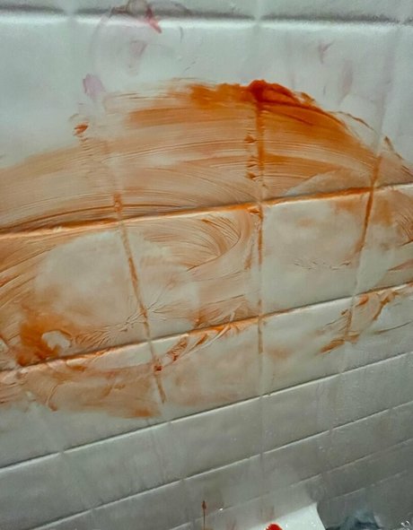 southrenmomma2043 OnlyFans Bilder