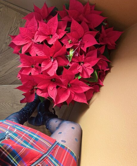 Stefania Cerulli Nacktbilder-Leaks von OnlyFans