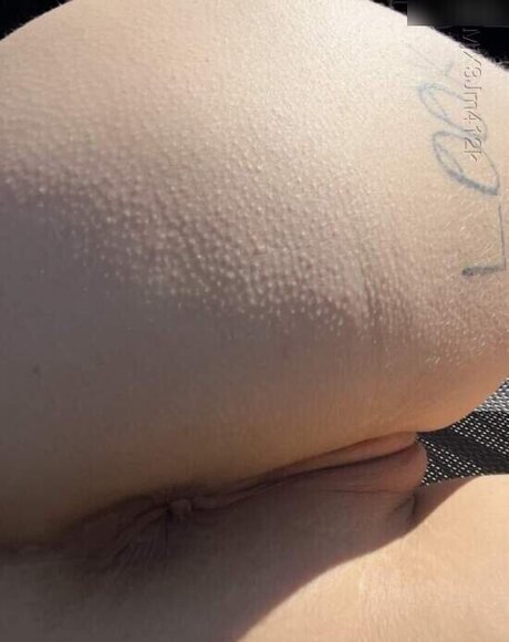 Whylellox OnlyFans Model Fotos