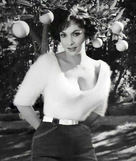 Vintage Sexy Celebs Titten OnlyFans