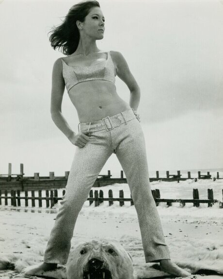 Vintage Sexy Celebs OnlyFans