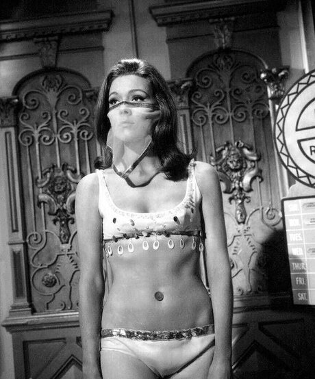 Vintage Sexy Celebs OnlyFans Nacktbilder