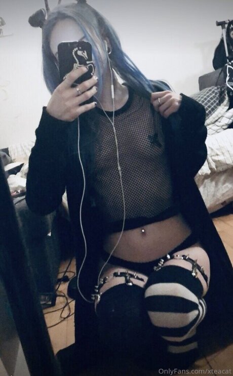 AwesomeTeaCat Nacktbilder geleakt OnlyFans