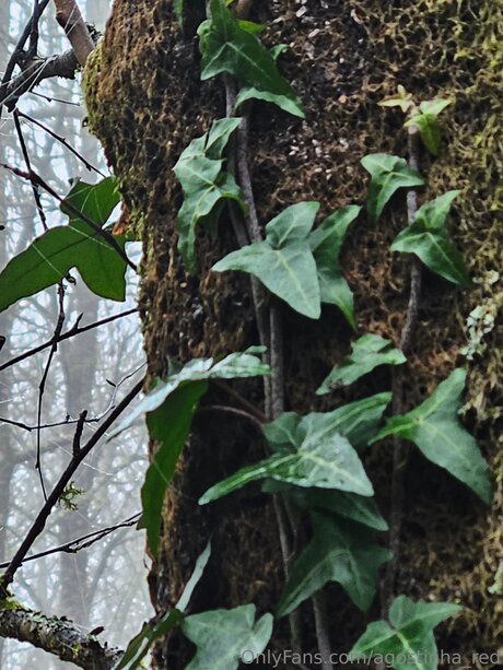 Agostinha Red Nacktbilder von OnlyFans geleakt