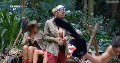 Ich bin ein Star Holt mich hier raus_ Profilbild