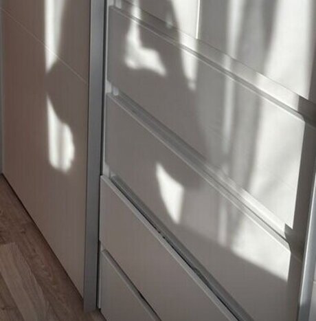 s sses rot OnlyFans-Leak