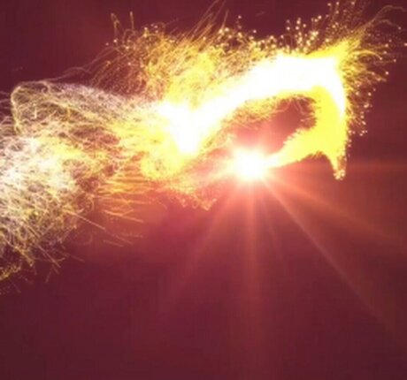 Nia Harris Nur für Fans