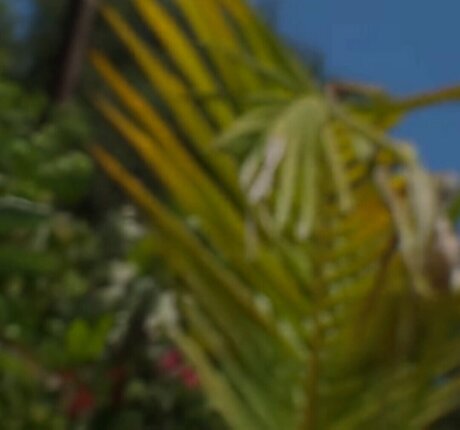 VelicityVon OnlyFans schlank