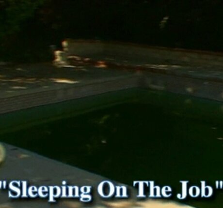 Peter North Profilbild