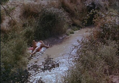 Ellen Barkin OnlyFans Archiv