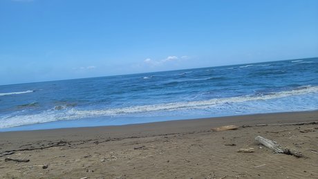 La pelua pr OnlyFans Sex