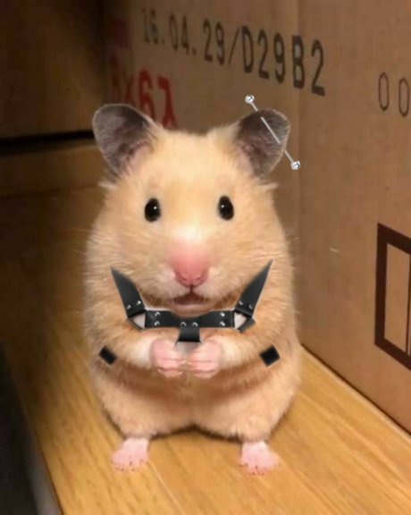 Lan OnlyFans geleakte Bilder