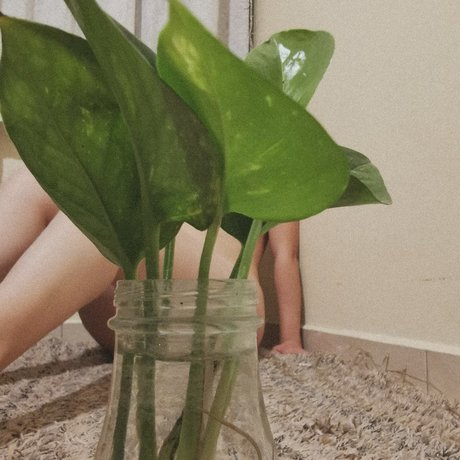 Huesos_ Gratis OnlyFans Inhalte